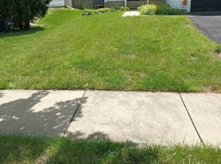 Sherry M.'s Lawn Mowing service result
