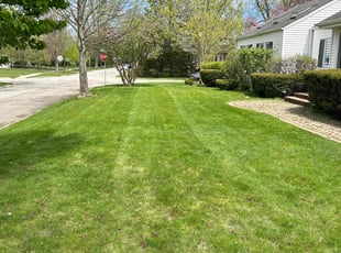 Amber H.'s Grass Cutting service result
