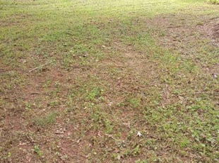 Cleanups by Montgomery Roberts for Cindy K. in Kennesaw, GA