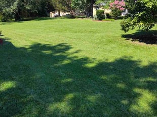 Barbara R.'s Lawn Mowing service result