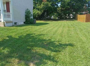 Mary K.'s Lawn Mowing service result
