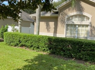 Bush Trimming by Mila Boza for Brad M. in Winter Garden, FL