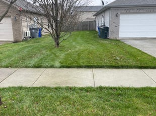 Thomas S.'s Yard Cutting service result