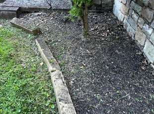 Weeding by Jason Scott for Amanda N. in Silver Spring, MD