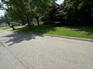 Deborah M.'s Lawn Service service result