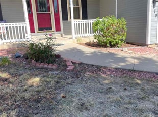 Bush Trimming by Todd Barns for Mike M. in Colorado Springs, CO