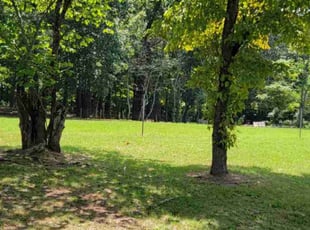 David S.'s Lawn Service service result