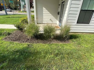 Weeding by Anthony Grant for Mark K. in Indianapolis, IN