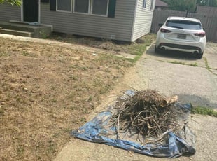 Cleanups by Buckeye Touch for Jose M. in Columbus, OH