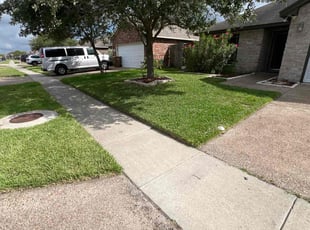 Lisa N.'s Lawn Mowing service result
