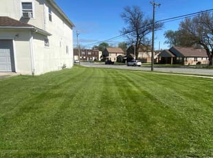 James B.'s Grass Cutting service result