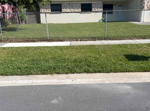 Roderick H.'s Lawn Maintenance service result