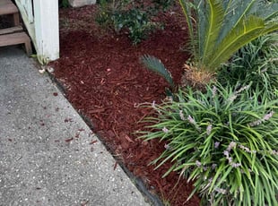 Weeding by Marcus Simon for Courtney S. in Baton Rouge, LA