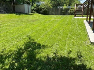 William J.'s Grass Cutting service result