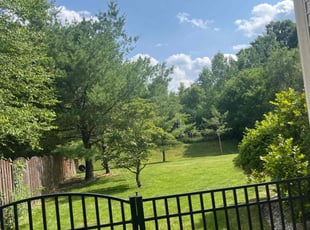 David T.'s Lawn Care service result
