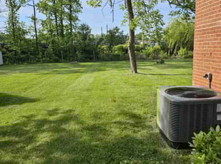 Keith D.'s Grass Cutting service result