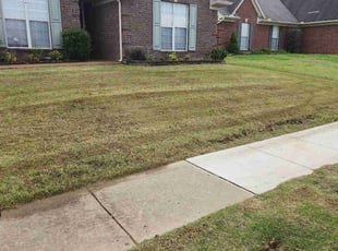 Patti D.'s Lawn Service service result