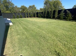 Glynis G.'s Lawn Service service result