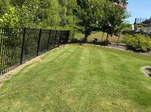 Tayyibah S.'s Grass Cutting service result