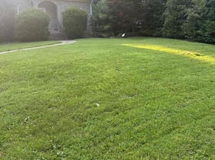 Cara T.'s Lawn Service service result
