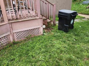 Cleanups by Jacob Curlett for Aaron D. in Wilmington, DE