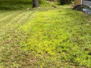 Gary D.'s Lawn Service service result
