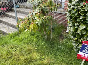 Bush Trimming by Jaelonie Ayres for Roux R. in Seattle, WA