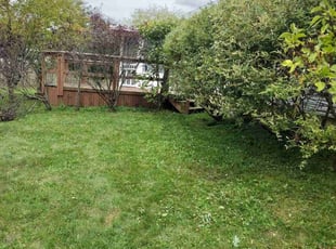 Bush Trimming by Phillip Whitt for Anthony S. in Pataskala, OH