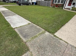 Ali P.'s Lawn Service service result