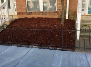 Mulching by Norman Blanchard for Thomasine S. in Washington, DC