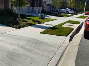 Denise H.'s Lawn Service service result