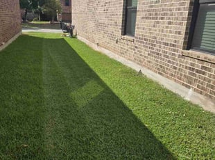 William W.'s Lawn Mowing Service service result
