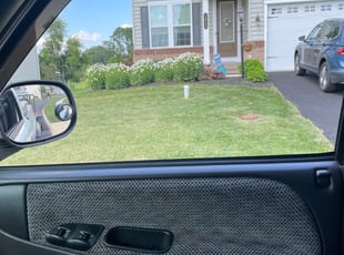 Timothy H.'s Grass Cutting service result