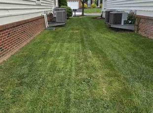 Angela A.'s Yard Cutting service result