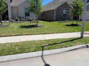 Willie Ruth S.'s Lawn Mowing service result