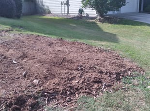 Cleanups by Jason Times for Mikala B. in Smyrna, GA