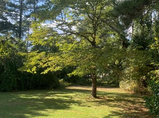 Khoa N.'s Lawn Mowing service result