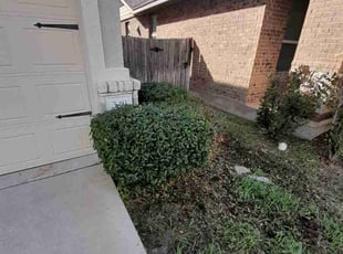 Bush Trimming by Robert Camacho for Joshua M. in Buda, TX