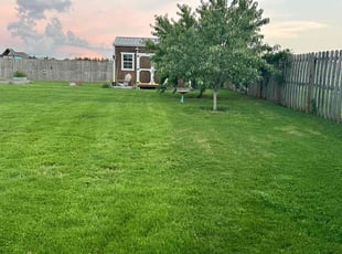 Kimberley G.'s Lawn Maintenance service result