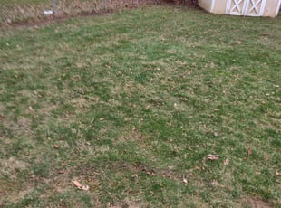 Leaf Removal by Chris Steinhour for Halimo H. in Columbus, OH