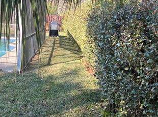 Tom B.'s Lawn Care service result