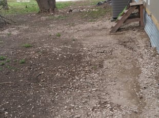 Cleanups by Rebecca Ferrara for Thalia T. in San Antonio, TX