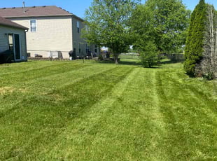 Diana K.'s Yard Cutting service result