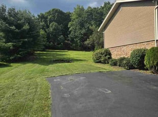 Silvia C.'s Lawn Care service result