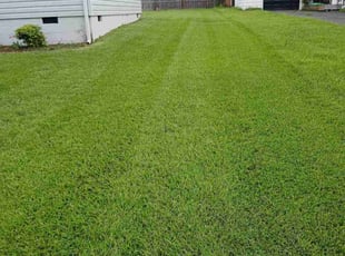 Katie C.'s Lawn Service service result