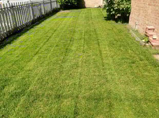 brett s.'s Yard Cutting service result