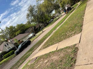 Leaf Removal by Paul Jones for Erika A. in Houston, TX