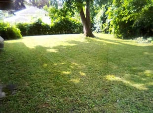 Chris E.'s Yard Cutting service result