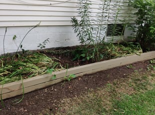 Cleanups by Chris Steinhour for Kimberly S. in Grove City, OH