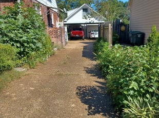 Bush Trimming by Ashley McCarty for Eric V. in Memphis, TN